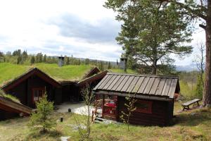 eine Blockhütte mit Grasdach in der Unterkunft Lillesander - 3 bedroom cabin in Ål