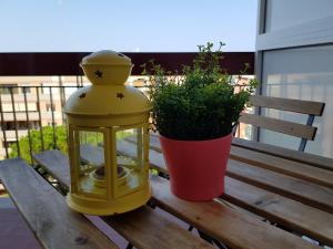 Balkón nebo terasa v ubytování Tanzi Home