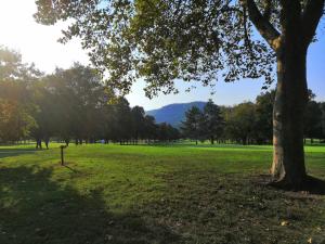 Zahrada ubytování Relais Golf Padova