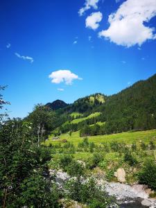 Paesaggio naturale nelle vicinanze dell'appartamento