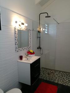 ein Bad mit einem Waschbecken und einer Dusche mit einem Spiegel in der Unterkunft MALAKA F1 TOUT CONFORT Le Moule avec Piscine in Le Moule