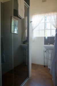 a bathroom with a shower with a sink and a glass door at Enniskerry Self-Catering in Lidgetton