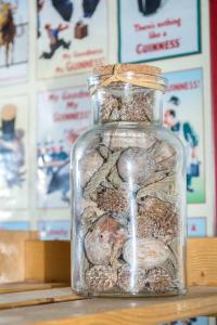 a glass jar filled with rocks and seaweeds at Liberty Square Apartments in Novi Sad