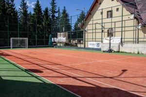 a tennis court with a net on top of it at Pensiunea Aria Paltinis in Păltiniş
