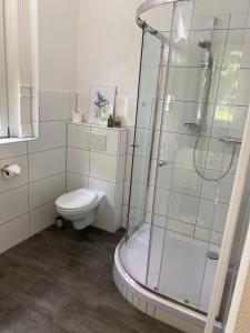 bagno con doccia e servizi igienici. di Appartment Stadtgarten a Tuttlingen