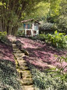 Um jardim em O Sitio - Ilha Grande