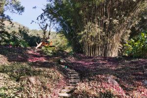 Um jardim em O Sitio - Ilha Grande