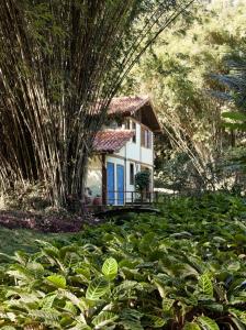 Um jardim em O Sitio - Ilha Grande