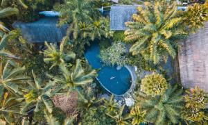 an aerial view of a pool in a garden with palm trees at Stone House in Ubud