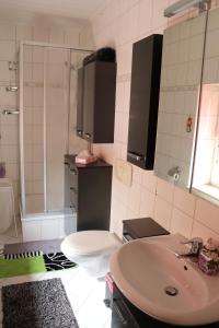 KirchbergにあるGästewohnung Rüdigerの洗面台とトイレ付きのバスルーム +7枚の写真