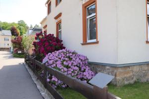 a flower bed of purple flowers next to a building at Gästewohnung Rüdiger in Kirchberg