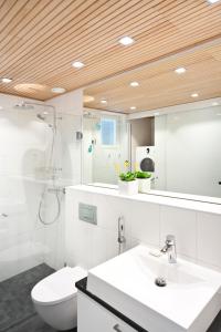 La salle de bains est pourvue de toilettes, d'un lavabo et d'un miroir. dans l'établissement Aallonkoti Apartments, à Helsinki