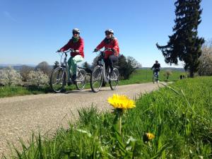 Attività di ciclismo presso l'hotel o nelle vicinanze