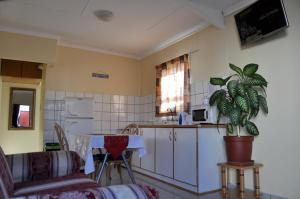 eine Küche mit einem Tisch und einer Topfpflanze in der Unterkunft Timo's guesthouse accommodation in Lüderitz