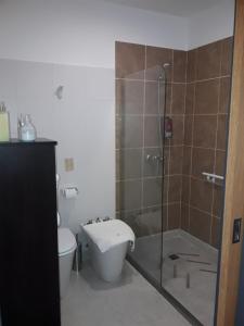 y baño con ducha, aseo y lavamanos. en Hotel de Campo Posada la Esperanza en Río Cuarto