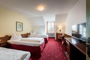 Televiisor ja/või meelelahutuskeskus majutusasutuses Hotel Plankenhof B&B