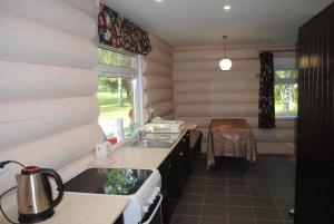 a small kitchen with a sink and a stove at Dacha-park Emelyanovo in Yemel'yanovo