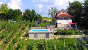 Bazén v ubytování Elizabeta Holiday Home nebo v jeho okolí