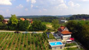 uma vista aérea de uma casa com piscina em Elizabeta Holiday Home em Štrigova