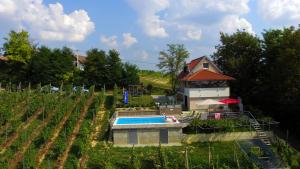 Bazén v ubytování Elizabeta Holiday Home nebo v jeho okolí
