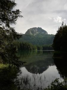 a view of a lake with a mountain in the background at Apartment Vujisic in Žabljak
