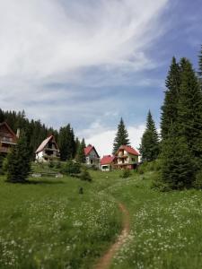 a field of grass with houses and a dirt road at Apartment Vujisic in Žabljak