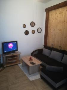 TV a/nebo společenská místnost v ubytování Apartmán Pod věží I