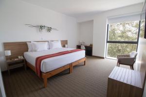a hotel room with a bed and a window at Tierra Viva Piura Hotel in Piura