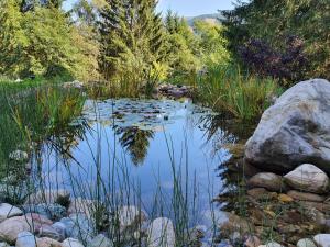 Un paisaje natural cerca del chalet de montaña