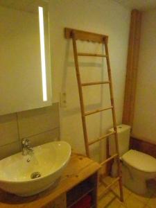 a bathroom with a sink and a ladder next to a toilet at LES CŒURS DU TILLEUL in Gérardmer