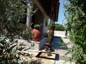 Zahrada ubytování Green House Nafplio