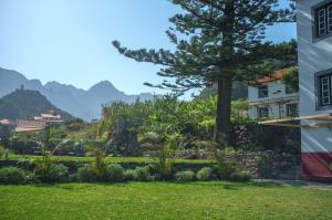 Jardí fora de Casa Oliveira Esmeraldo - Guest Houses