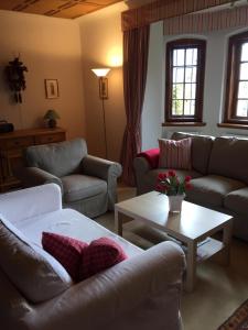 ein Wohnzimmer mit Sofas und einem Couchtisch in der Unterkunft Villa Tadina Ferienwohnungen Mariazell in Mariazell