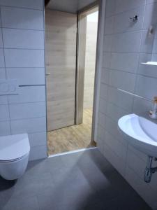 ein Bad mit einer Dusche, einem WC und einem Waschbecken in der Unterkunft Apartma Linhartov trg in Radovljica