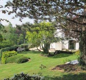 a garden with a bench and a tree at B&B LES CRESSES in Ciney