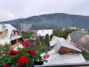 a group of houses with red flowers in the foreground at Guest House Viktoria in Yaremche