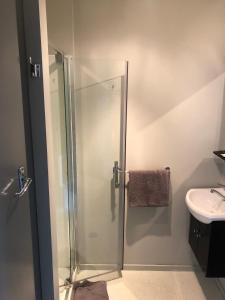 La salle de bains est pourvue d'une douche et d'un lavabo. dans l'établissement Ivorytowers Accommodation, à Glacier Fox
