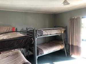 two bunk beds in a room with a window at Ivorytowers Accommodation in Fox Glacier