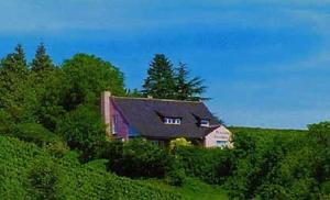 una casa en una colina en medio de un campo en Haus am Trielberg, en Meersburg