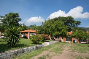 une maison avec un palmier et une cour dans l'établissement Habitaciones Lucero 2, à Santa María del Oro
