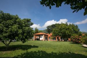 a house with a green yard with a tree at Habitaciones Lucero 4 in Santa María del Oro