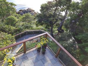 Garður fyrir utan Reef Point Oceanfront Bed and Breakfast