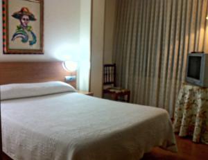Habitación de hotel con cama y TV en Hostal Del Carmen, en Santander
