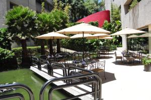 Un jardín fuera de Royal Pedregal