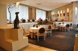 Un restaurante u otro lugar para comer en Royal Pedregal