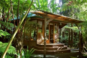Volcano Rainforest Retreat في فولكانو: منزل صغير وسط غابة
