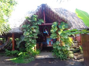 Gallery image of Hostal Rancho Sabor Isleño - Ometepe in Altagracia