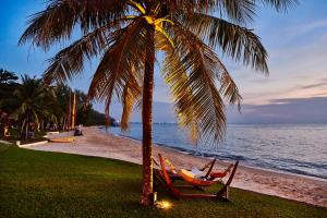 palma i dwa krzesła pod palmą na plaży w obiekcie Chen Sea Resort & Spa Phu Quoc w Duong Dong