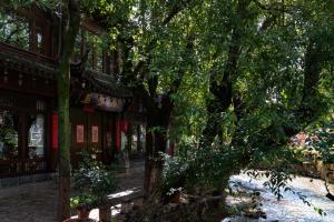 丽江君泊轩微奢客栈外面的花园