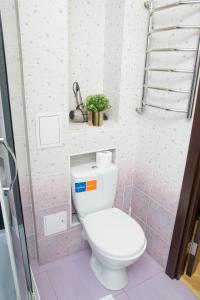 a bathroom with a white toilet and a ladder at 1-к квартира 9 января, 6 in Kemerovo